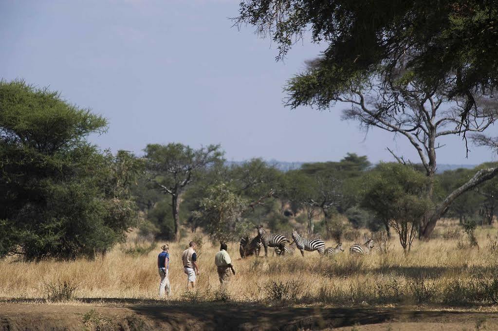 מלון Babati Sanctuary Swala מראה חיצוני תמונה